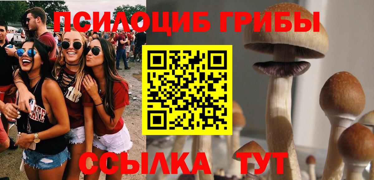 Галлюциногенные грибы мухоморы  Вход с VPN  Звенигород  Псилоцибиновые грибы Psilocybine cubensis 