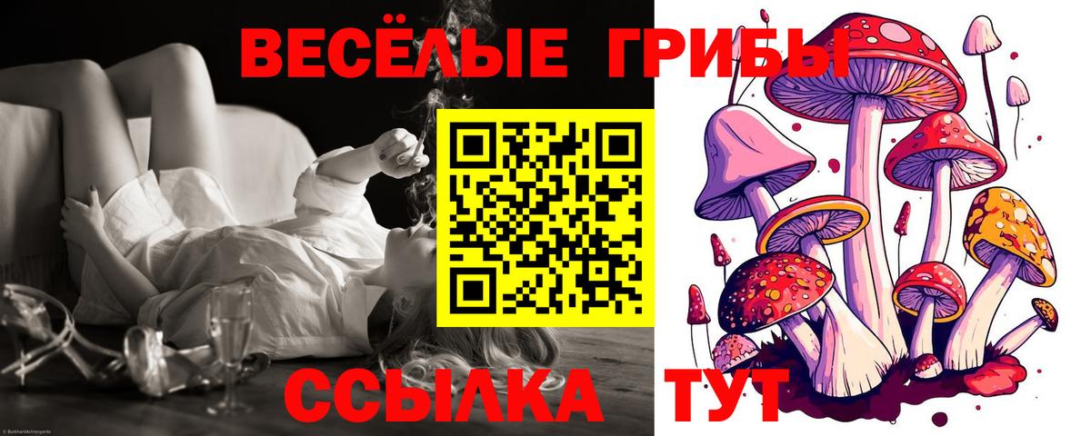 Галлюциногенные грибы GOLDEN TEACHER Звенигород